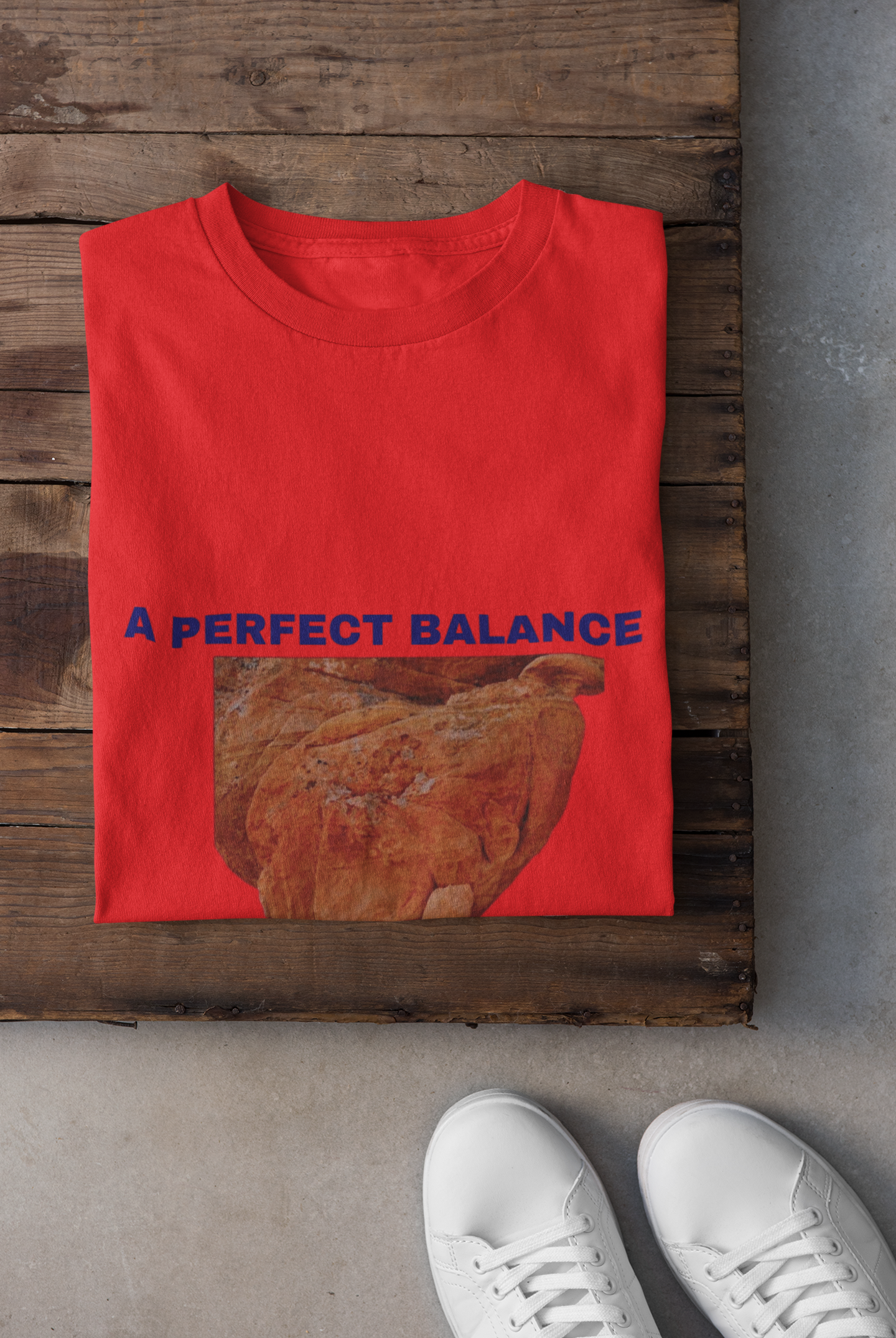 A PERFECT BALANCE T SHIRT