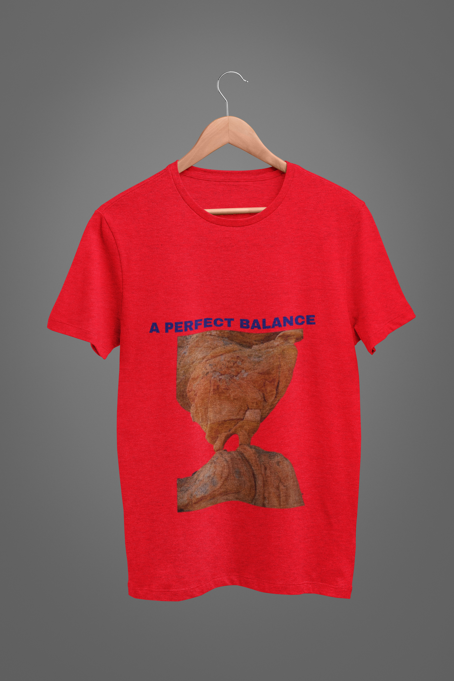 A PERFECT BALANCE T SHIRT