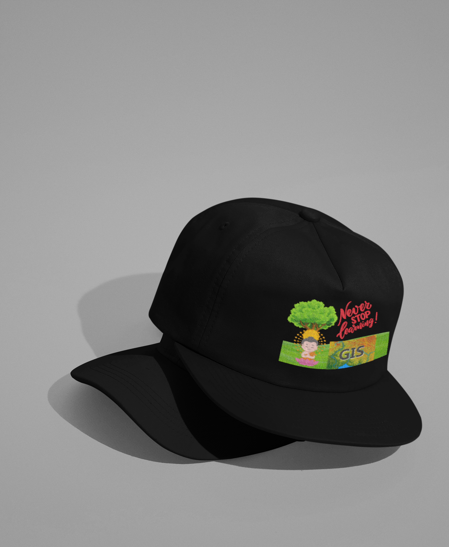 Never Stop Learning GIS CAP