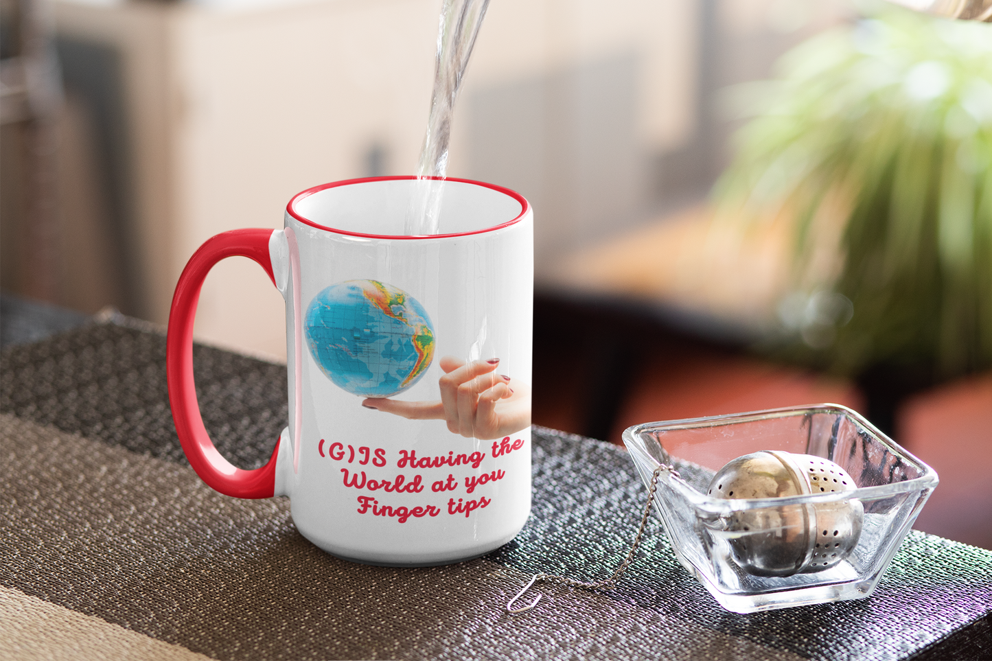 GIS HAVING THE WORLD MUG